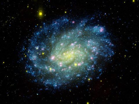 Het NGC 300sterrenstelsel op een afbeelding in valse kleuren Net als de Melkweg is het een spiraalvormig stelsel Het bevindt zich op zeven miljoen lichtjaar van de aarde De blauwe stippen in de buitenste armen zijn jonge hete sterren De oudere sterren staan in het midden en zijn geelgroen