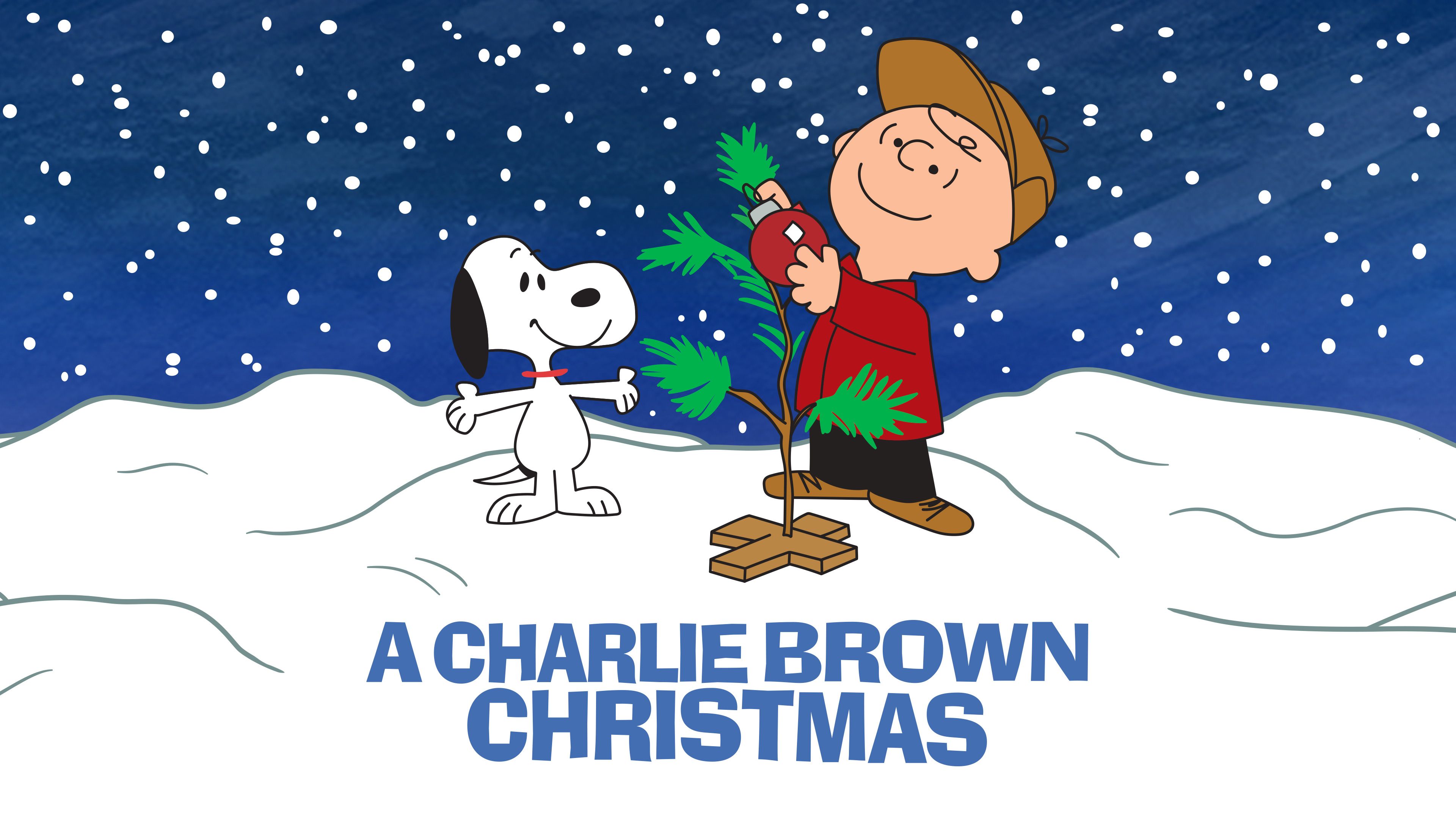 Download Charlie Brown White Christmas With Snoopy Wallpaper  Wallpapers com