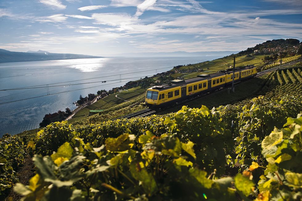 De Train des Vignes in Zwitserland biedt een spectaculair uitzicht over het Meer van Genve