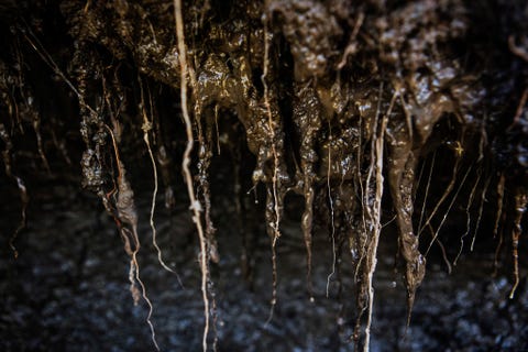 De meeste permafrost blijft bevroren Maar sommige permafrost in het noorden van Siberi en verschillende andere locaties in het noordpoolgebied dreigt veel sneller te ontdooien dan verwacht waardoor grote hoeveelheden kooldioxide en methaan dreigen vrij te komen