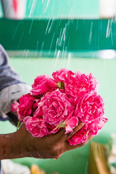 Op de bloemenmarkt in Madurai Bloemen zijn een essentieel onderdeel van het dagelijkse devotionele leven en staan symbool voor kracht puurheid en generositeit