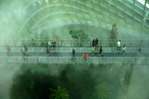 Wolkenbos Het uitzicht hier op Gardens by the Bay in Singapore was volgens Andrew Tsang bovennatuurlijk en toch was de sensatie van een regenwoud ongemeen echt Corcoran voegt daaraan toe Het is aan ons om te zorgen dat we in de toekomst niet afhankelijk zijn van een virtueel regenwoud