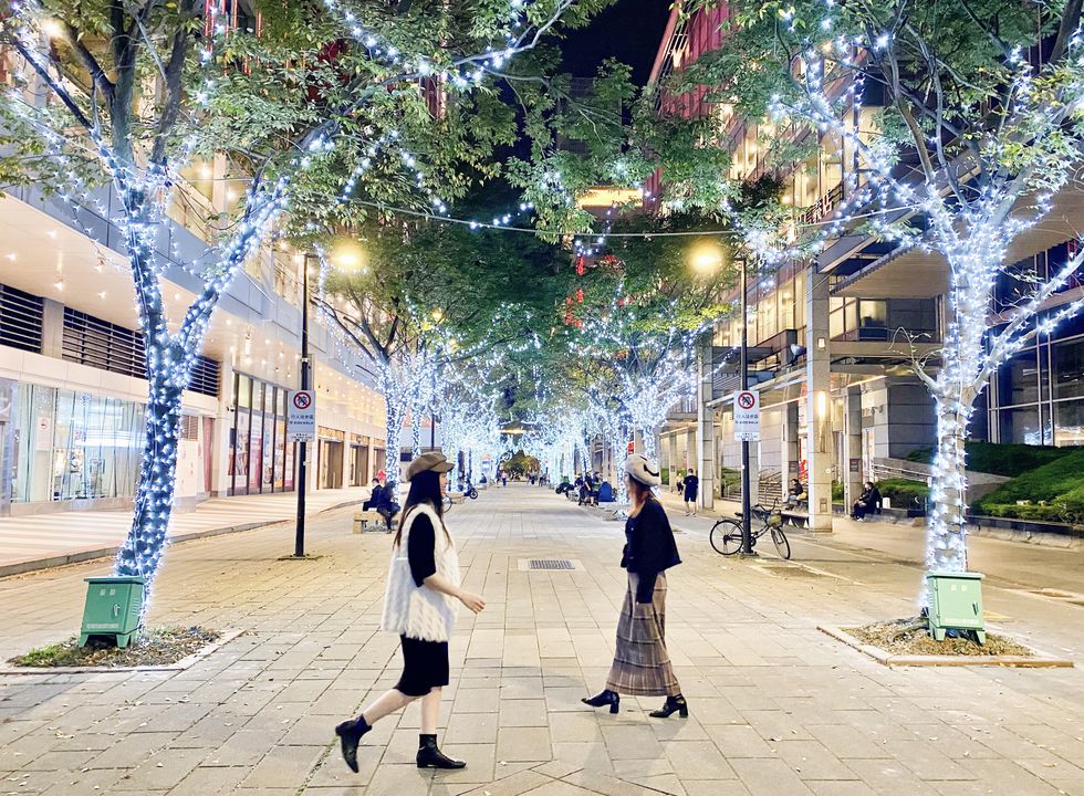 2022全台聖誕節活動推薦！17米銀白星願之樹、卡娜赫拉的小動物聖誕樹、北中南聖誕市集看這篇