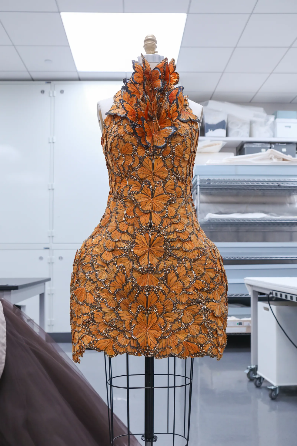el vestido de mariposas monarcas de la colección primaveraverano 2011 de alexander mcqueen