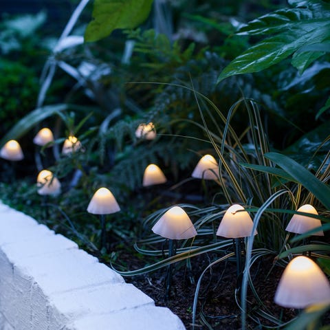 y usa luces de estaca para iluminar las plantas