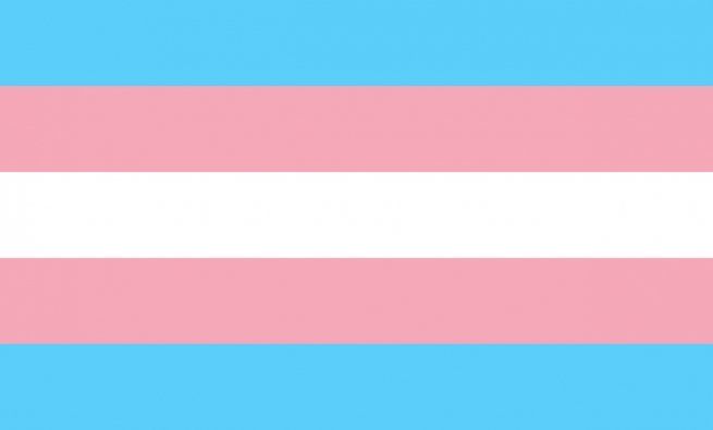 trans pride flag colors