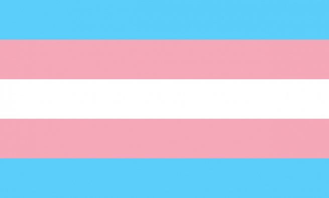 trans pride flag colors