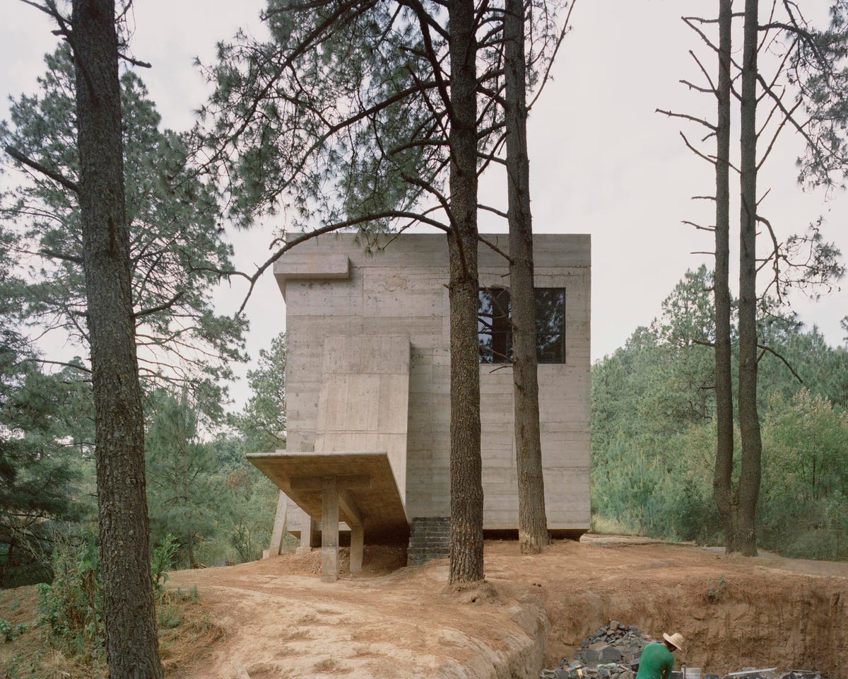 Una casa de hormigón que dialoga con un bosque en Argentina