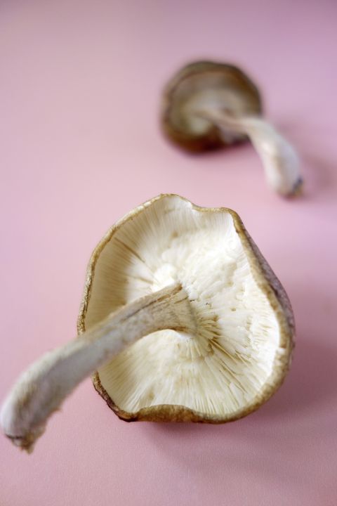 shiitake mushroom on a pink wooden background