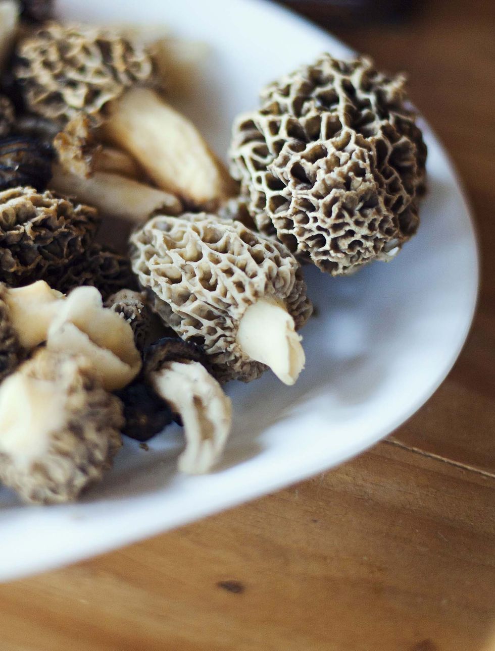 wild morel mushrooms in a bowl