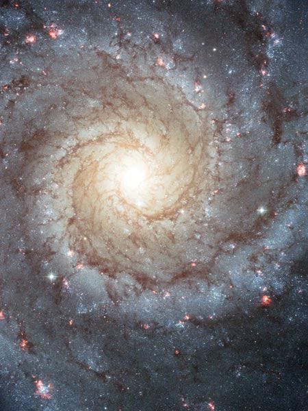 In deze blik op de zijkant van het sterrenstelsel Messier 74 is te zien hoe nieuwe sterren in zijn spiraalarmen worden gevormd De blauwe clusters bestaan uit jonge sterren terwijl de roze gebieden een hoge dichtheid van geoniseerd waterstofgas verraden Messier 74 omvat zon honderd miljard sterren iets minder dan het aantal sterren in de Melkweg en bevindt zich op een afstand van 32 miljoen lichtjaar van de aarde in het sterrenbeeld Vissen