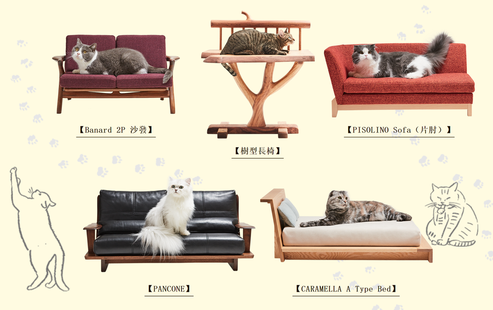 Furniture, Product, Living room, Couch, Sofa bed, Room, Loveseat, Cat, Interior design, Fur, 
