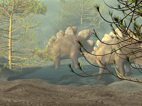 Stegosaurussen uit het tijdperk van de Jura zoals dit paar in een illustratie van een prehistorisch NoordAmerikaans woud waren planteneters die zich traag voortbewogen negen meter lang konden worden en twee ton konden wegen Het meest imposante kenmerk van het dier was een rij pantserplaten op de rug waarvan sommige meer dan n meter hoog konden worden