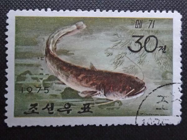 Postage stamp, Fish, 