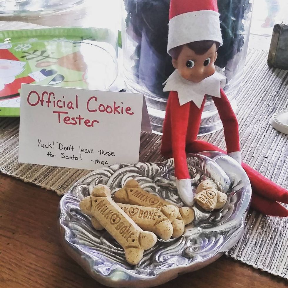 elf on the shelf ideas elf on the shelf samples cookies