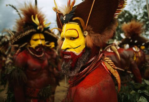 Een Huli pruikenman showt zijn pruik van mensenhaar voordat hij een singsing opvoert een ceremonile welkomstdans in Papoea NieuwGuinea in de jaren 1990 De uitbundige aankleding bij de dans is genspireerd op vogels