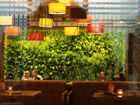 Binnenstebuiten Corcoran wijst op de lagen van mensen groen en licht in de foto van Alexandra Diers van struiken in een naamloos caf Diers De uitdaging van de toekomst is zorgen dat de steden groen blijven