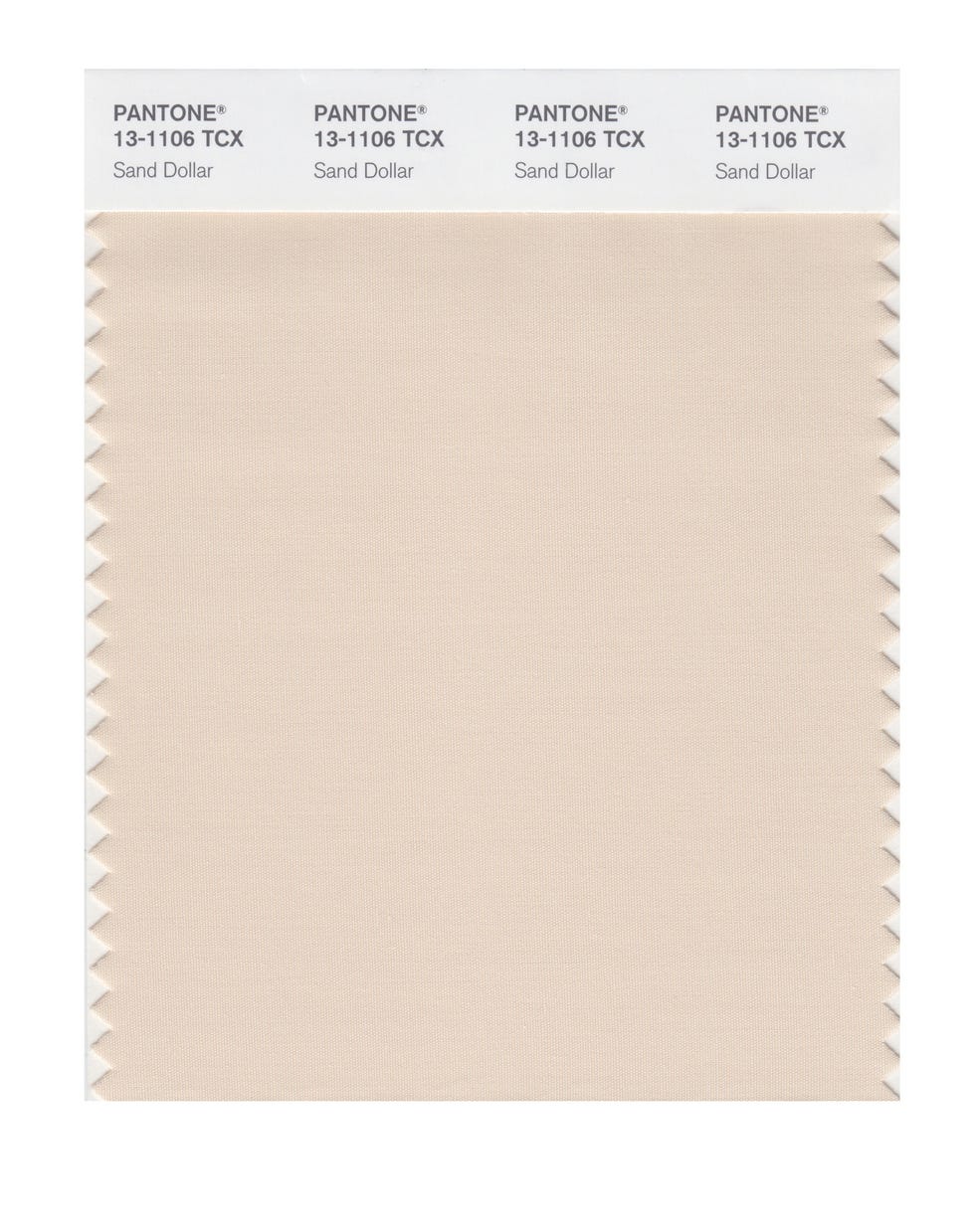 Every Pantone Color of the Year Since 2000 [PHOTOS] – WWD