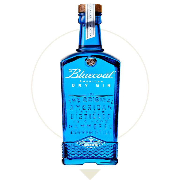 27 Best Gin Brands 2023 - Top Gin Bottles To Buy Right Now