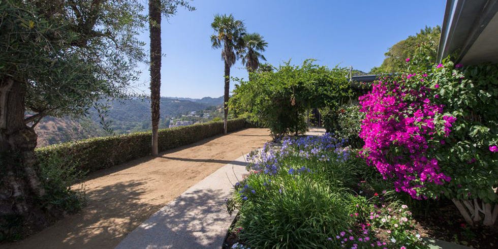 Property, Vegetation, Garden, Real estate, Flower, Plant, Botany, Tree, Shrub, House, 