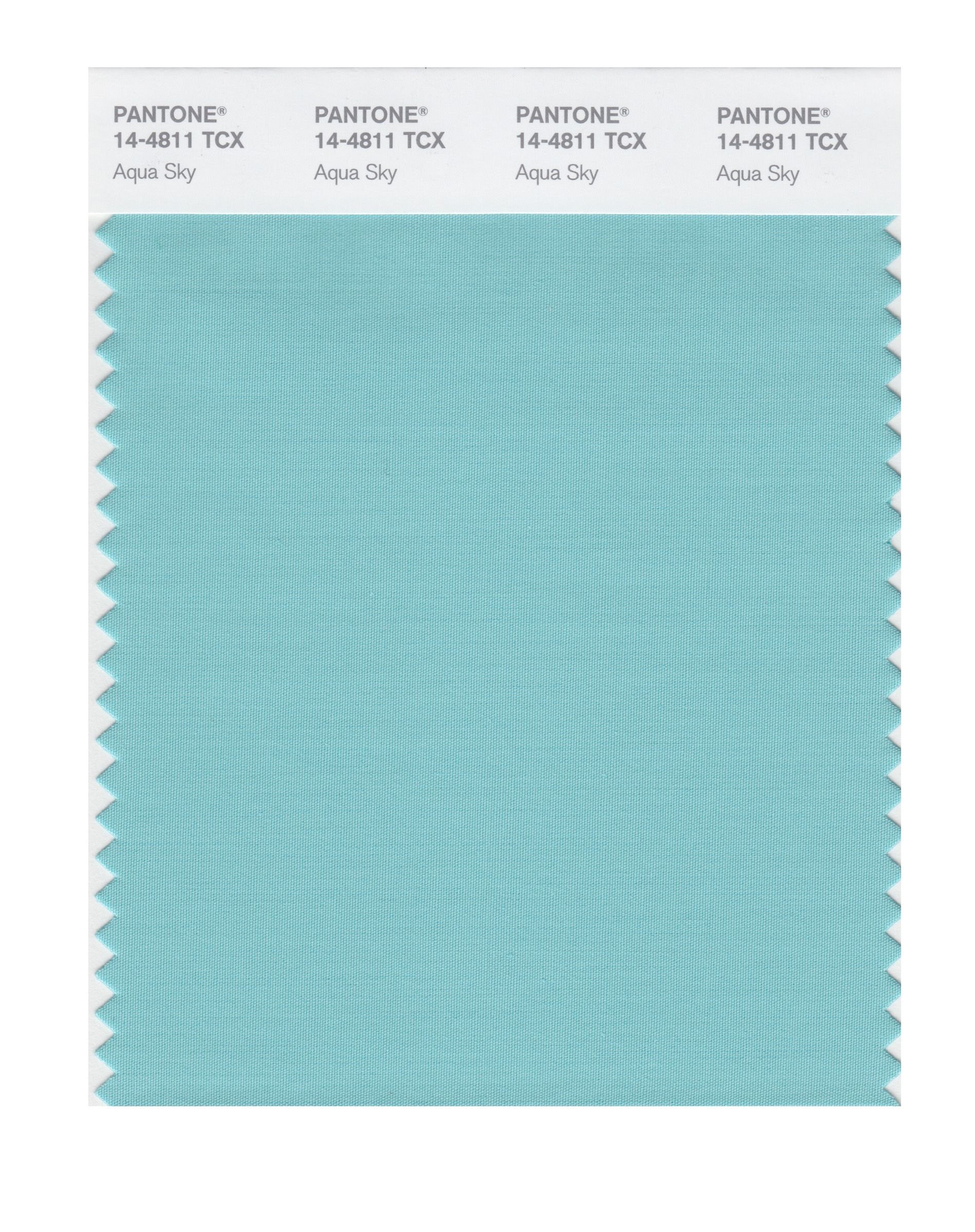 Every Single Pantone Colour Of The Year From 2000 – 2025 Every Single Pantone Colour Of The Year From 2000 – 2025