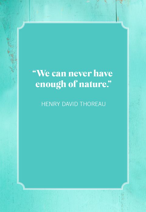 camping quotes henry david thoreau