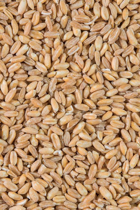 grain, food, whole grain, einkorn wheat, grass family, food grain, plant, cereal, emmer, farro,