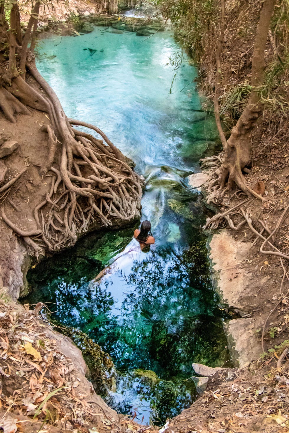 these natural thermal springs are situated on the banks of the katherine river, within the katherine township, and comprise of a series of clear pools framed by native vegetation