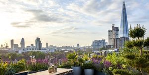 rooftop garden by tony woods for garden club london