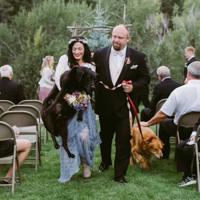 Dying dog Charlie Bear at wedding