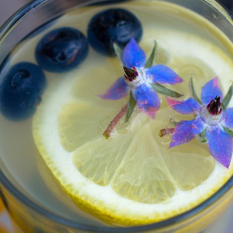 Cobalt blue, Blue, Drink, Plant, Gin and tonic, Lemon, Fruit, Lime, Food, Glass, 