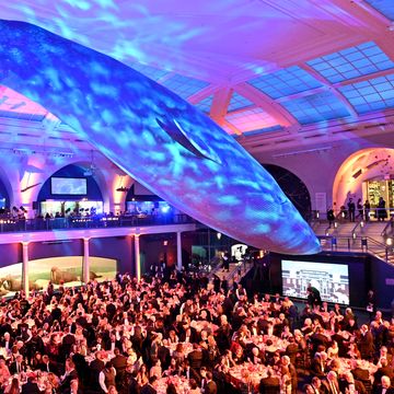new york, new york   december 01 a view of atmosphere during the american museum of natural historys 2022 museum gala on december 01, 2022 in new york city photo by slaven vlasicgetty images  for american museum of natural history