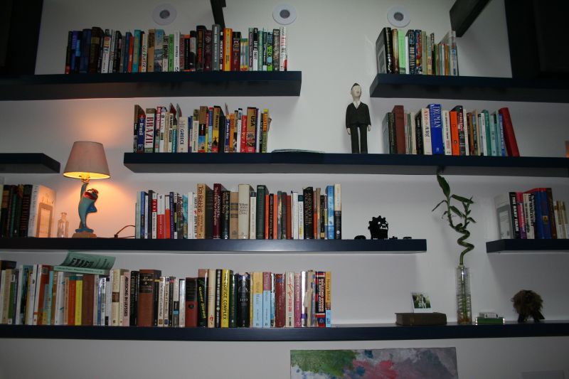 Shelving, Shelf, Bookcase, Furniture, Book, Collection, Wall, Publication, Room, Building, 