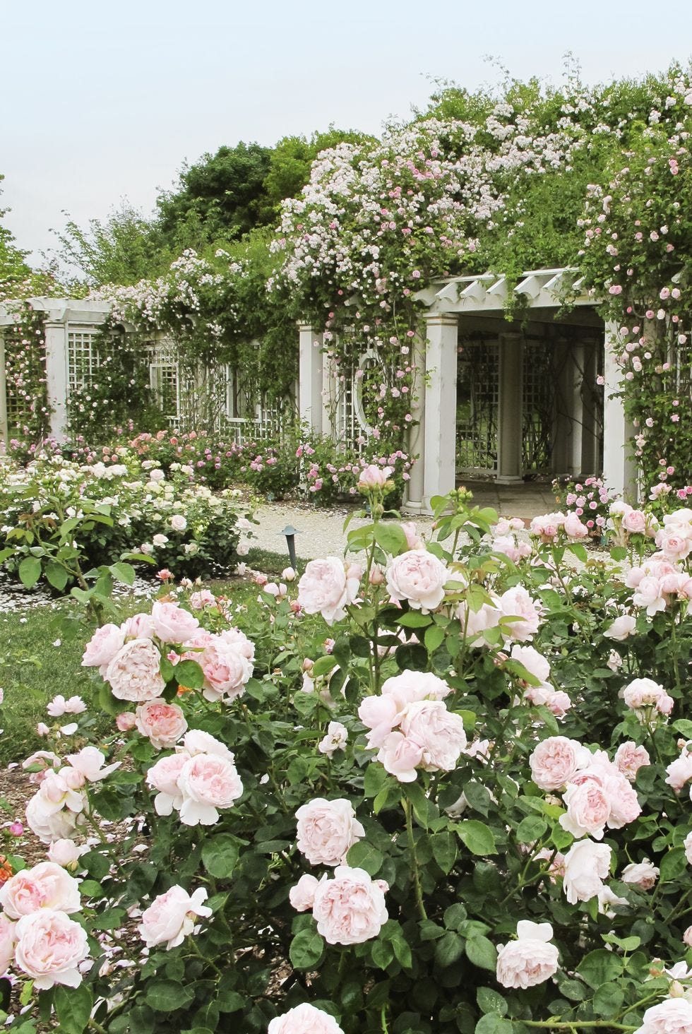 backyard ideas backyard ideas