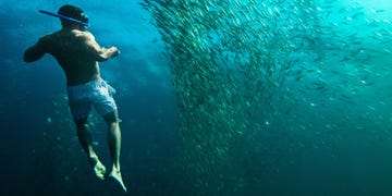 Fluid, Underwater, Water, Liquid, Hat, Swimwear, Shorts, Aqua, Barechested, Underwater diving, 