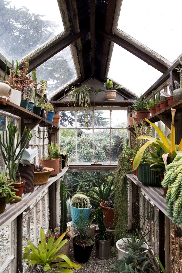 15 Greenhouse Ideas To Complete Your