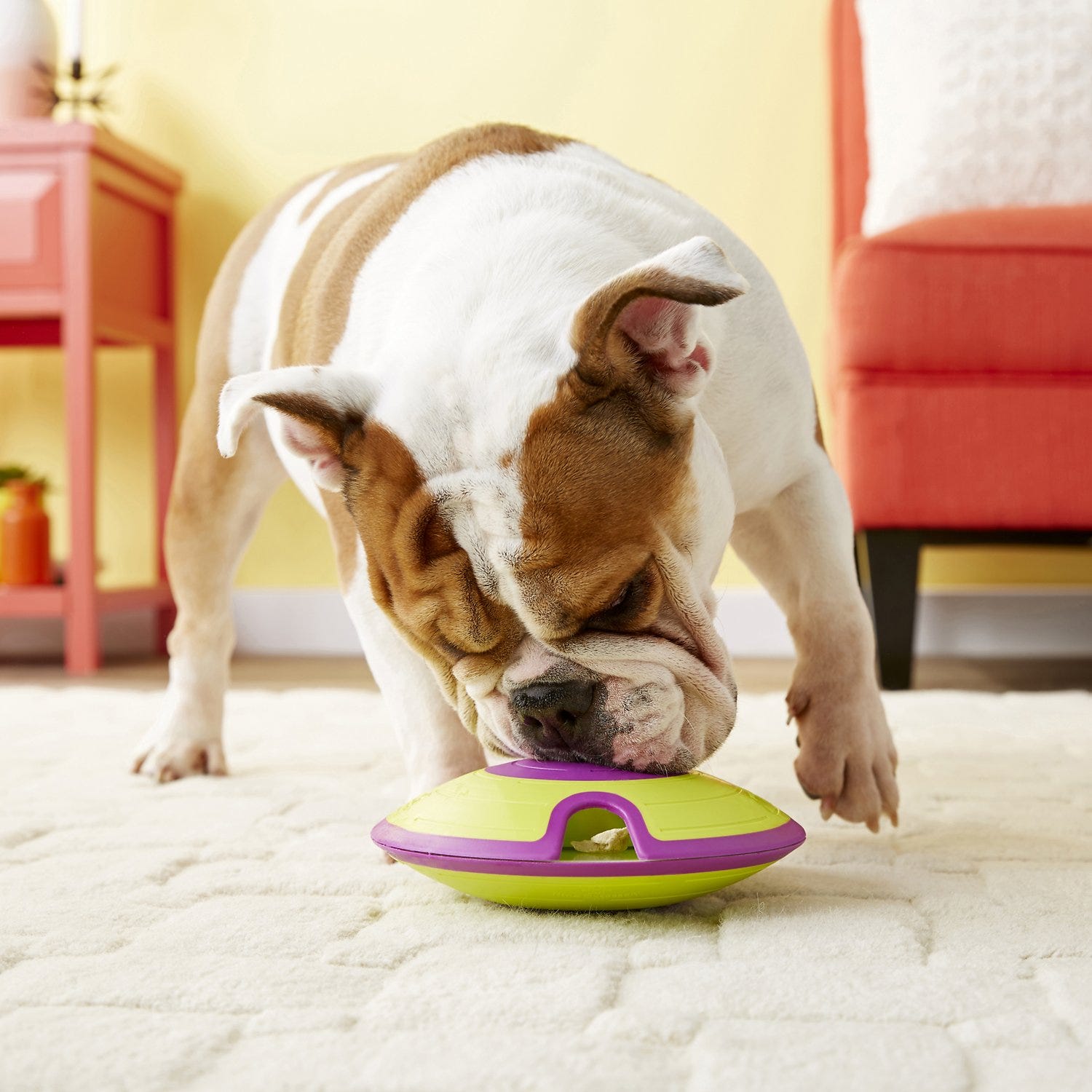 are puzzle feeders good for dogs