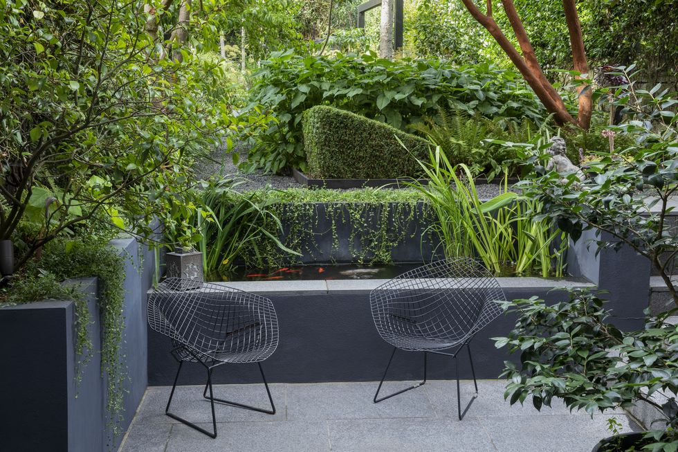 modern garden ideas and inspiration