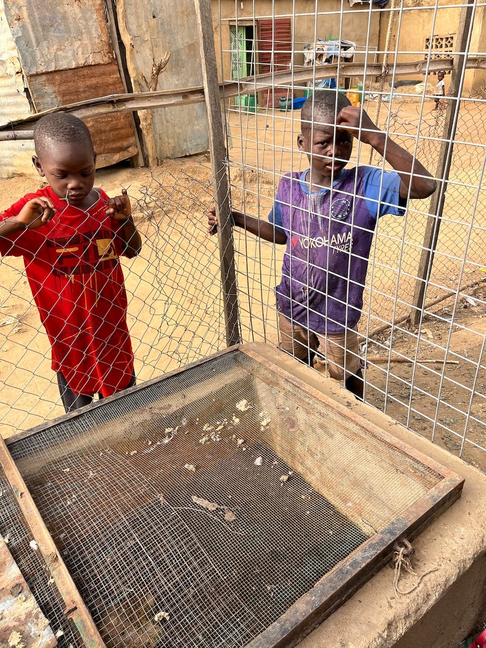 Come vivono le donne in Africa, il racconto di chi ci vive