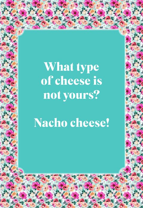 best jokes for kids type of cheese not yours