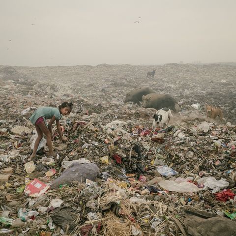 Op een vuilstortplaats in Bhalswa Delhi waaraan geen einde lijkt te komen zoekt een meisje naar plastic