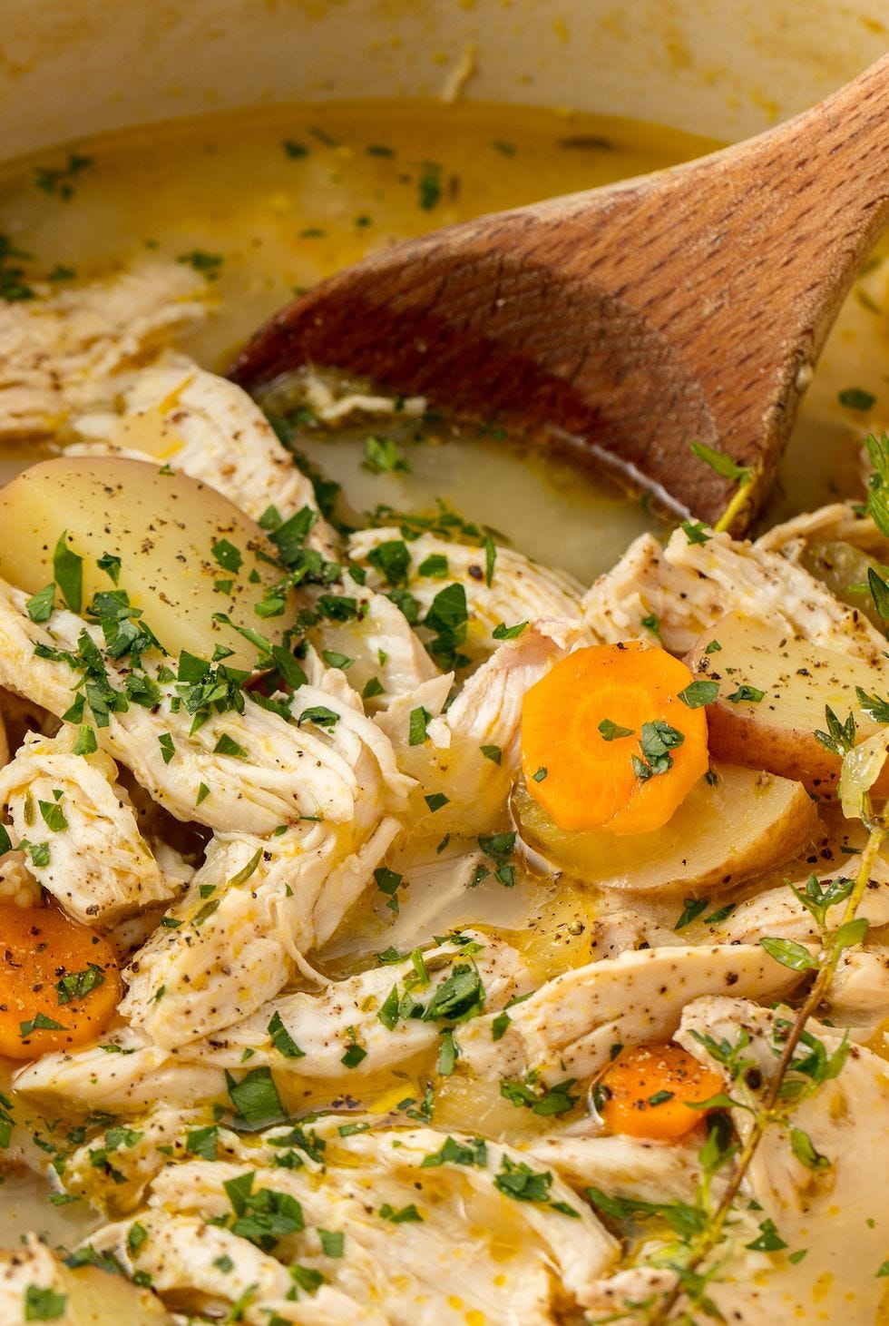 chicken stew  delishcom