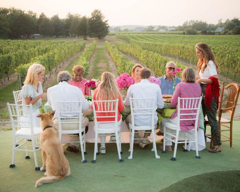 Pink, Canidae, Event, Leisure, Sporting Group, Recreation, Dog breed, Ceremony, Family, 