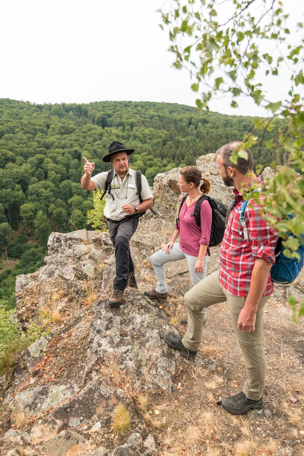 Ga op pad met een boswachter om meer te leren over de natuur in het nationaal park