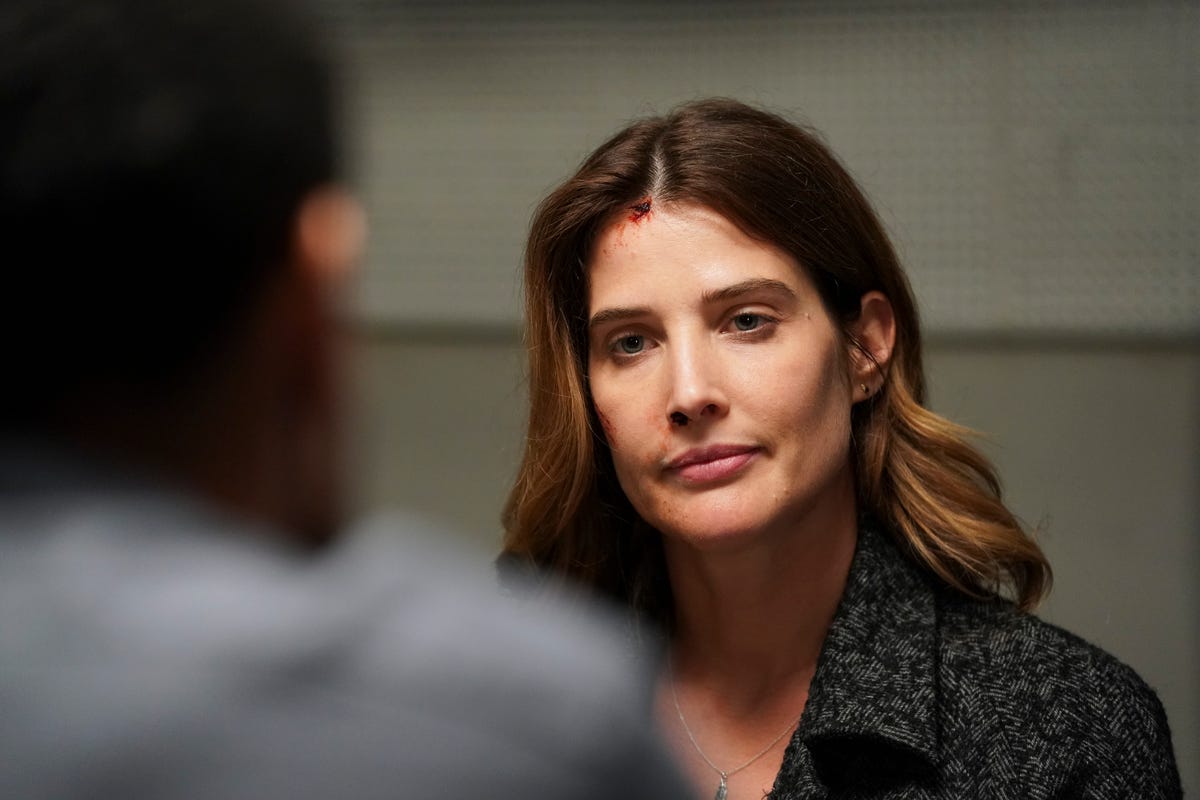 'Stumptown,' Starring Cobie Smulders, Is Based On A Graphic Novel