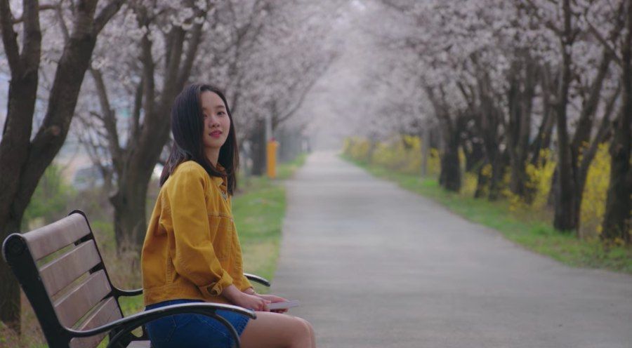 People in nature, Yellow, Spring, Sitting, Tree, Blossom, Plant, Flower, Cherry blossom, Happy, 