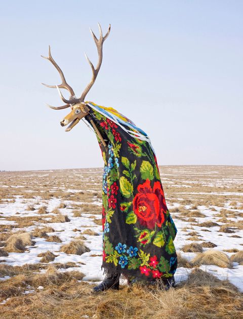 Een man verkleedt zich als een hert op nieuwjaarsdag voor een rituele opvoering van de jacht in Roemeni De foto stond bij Wildemannen van Europa een National Geographic artikel uit 2013 over mannen die uitgebreide kostuums dragen om oude tradities te vieren