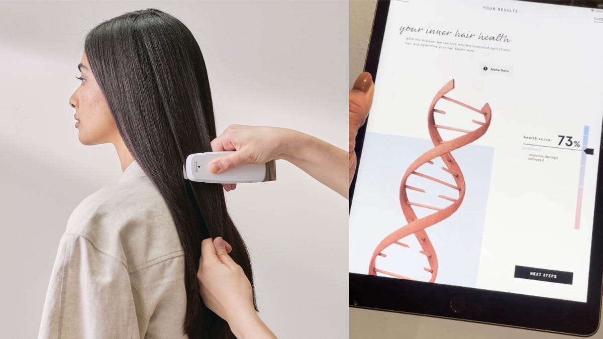 hair health analysis using a scanning device and a results display
