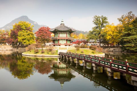 Paleiscomplex Gyeongbokgung ZuidKoreaHet paleiscomplex Gyeongbokgung ligt genesteld in weelderig groen tussen de berg Bukhansan en de glazen wolkenkrabbers van Seoel Gyeongbokgung behoort tot de Joseondynastie en bestond ooit uit meer dan 500 gebouwen Er zijn vandaag de dag nog veel woonruimtes banketpaviljoens tempels schrijnen lotusvijvers en tuinen te vinden Uit de schoorstenen van het paleis komt rook van de ondol een geavanceerd vloerverwarmingssysteem dat al duizenden jaren bestaat
