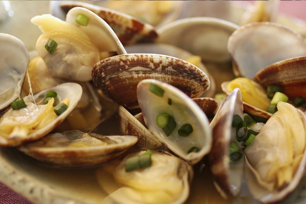 Dish, Food, Clam, Cuisine, Ingredient, Seafood, Bivalve, Oyster, Produce, Delicacy, 
